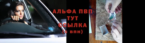гашик Беломорск