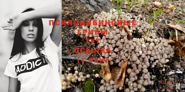 гашик Беломорск