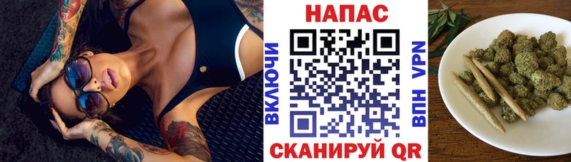 ОМГ ОМГ tor  Лыткарино  Конопля VHQ 